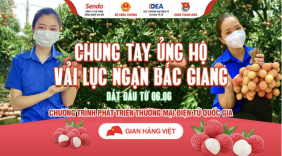 Chung tay đồng lòng của các sàn thương mại điện tử lớn - Đẩy mạnh tiêu thụ trực tuyến vải thiều Bắc Giang