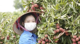 Hành trình 'chuyển quân', thần tốc cùng điểm nóng Bắc Giang