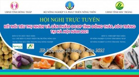 Cơ hội phân phối qua thương mại điện tử cho sản phẩm nông sản và các sản phẩm OCOP tại Đồng Tháp, Sóc Trăng