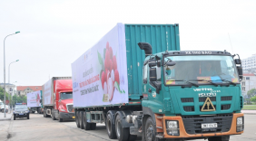 Tập trung tháo gỡ khó khăn logistic thương mại điện tử đảm bảo lưu thông hàng hoá khi dịch covid 19 diễn biến phức tạp