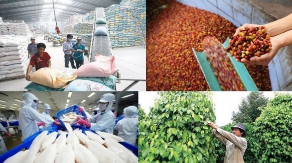 Hội nghị kết nối tiêu thụ, xúc tiến xuất khẩu nông sản, thủy sản khu vực Nam Bộ và Tây Nguyên 2021