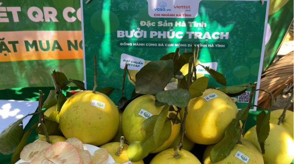 Mùa thu hoạch nông sản tháng 8: Đặc sản Na Chi Lăng, Bưởi Phúc Trạch đến với đông đảo người tiêu dùng cả nước qua thương mại điện tử