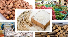 Cơ hội cho nông sản Việt Nam vào thị trường Đức là rất lớn