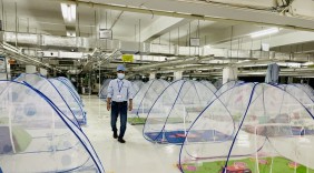 Doanh nghiệp sản xuất chống chọi giữa 