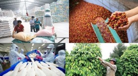 Hội nghị kết nối tiêu thụ, xúc tiến xuất khẩu nông sản, thủy sản khu vực Nam Bộ và Tây Nguyên 2021