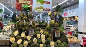 Siêu thị, sàn thương mại điện tử hỗ trợ tiêu thụ sầu riêng
