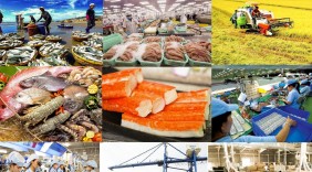 Một năm thu quả ngọt từ Hiệp định EVFTA