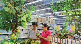 Triển khai Cuộc vận động ''Người Việt Nam ưu tiên dùng hàng Việt Nam'': Nỗ lực thực hiện 