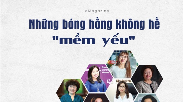 Những bóng hồng không hề 