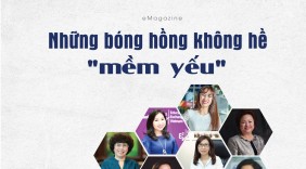 Những bóng hồng không hề 