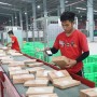 Việt Nam nhiều tiềm năng phát triển e-logistics