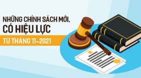 Chính sách mới có hiệu lực từ tháng 11/2021
