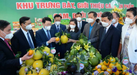 Thương mại điện tử và hệ thống phân phối lớn tiếp tục đồng hành cùng Bắc Giang