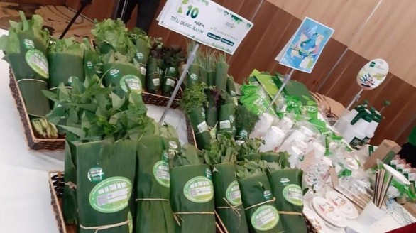 Hà Nội phấn đấu 100% siêu thị, trung tâm thương mại không sử dụng túi nilon khó phân hủy