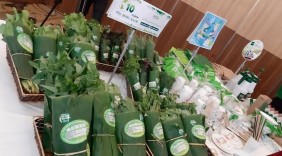 Hà Nội phấn đấu 100% siêu thị, trung tâm thương mại không sử dụng túi nilon khó phân hủy