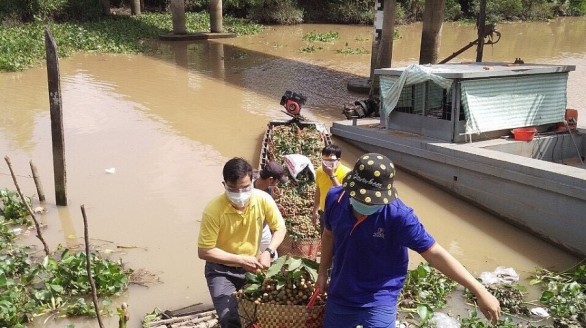 Công tác điều hành thị trường trong nước năm 2021: Minh bạch, kịp thời, hiệu quả