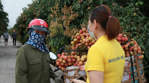 Bắc Giang, Sơn La, Hưng Yên đẩy mạnh tiêu thụ nông sản qua thương mại điện tử