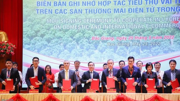 Tiếp tục đẩy mạnh hiệu quả tiêu thụ vải thiều Bắc Giang năm 2022 qua kênh phân phối truyền thống và thương mại điện tử