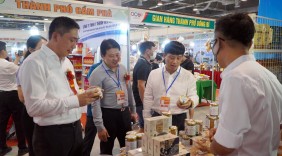 Doanh nghiệp Việt vừa sản xuất hàng Việt vừa 