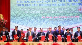 Tiếp tục đẩy mạnh hiệu quả tiêu thụ vải thiều Bắc Giang năm 2022  qua kênh phân phối truyền thống và thương mại điện tử