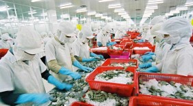 Tích cực đàm phán, mở rộng thị trường xuất khẩu cho nông sản Việt