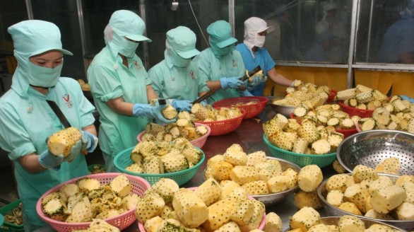 Sản xuất nông sản cần theo tín hiệu thị trường