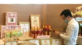Chuỗi sự kiện Kết nối cung cầu hàng Việt Nam tại tỉnh Bình Định sẽ diễn ra từ ngày 24/6/2022