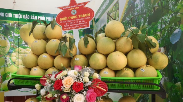 THÚC ĐẨY THƯƠNG MẠI ĐIỆN TỬ KẾT NỐI TIÊU THỤ BƯỞI PHÚC TRẠCH HÀ TĨNH NĂM 2022