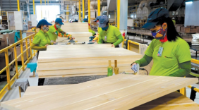 Chỉ 4,2% doanh nghiệp gỗ thực hiện chuyển đổi số toàn bộ