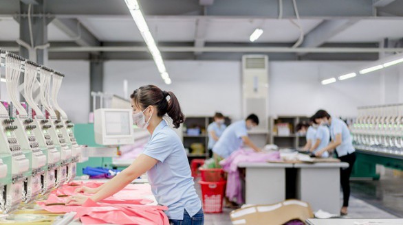 Nam Định: Khoa học công nghệ và đổi mới sáng tạo đóng góp tích cực cho sự phát triển kinh tế - xã hội toàn tỉnh