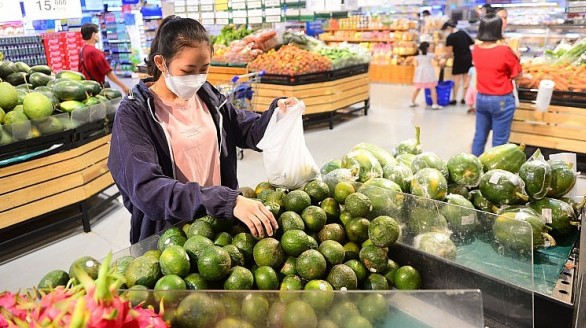 Siêu thị, sàn thương mại điện tử vào cuộc thu mua cam sành cho nông dân Vĩnh Long