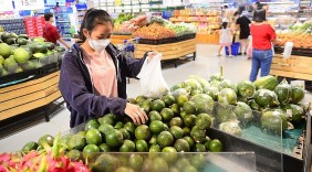 Siêu thị, sàn thương mại điện tử vào cuộc thu mua cam sành cho nông dân Vĩnh Long