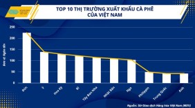 Xuất khẩu cà phê: Điểm sáng trong nhiều thách thức