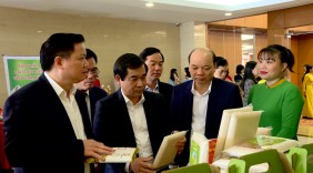 Phát triển thương hiệu lúa, gạo tỉnh Thái Bình trên kênh phân phối truyền thống và thị trường thương mại điện tử