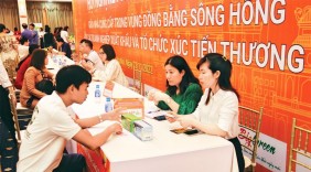 Phát triển thị trường trong nước: Hiệu quả cao từ liên kết vùng