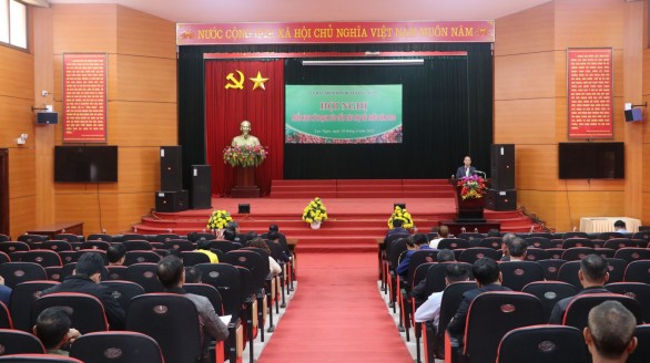 Huyện Lục Ngạn triển khai kế hoạch tiêu thụ vải thiều năm 2023