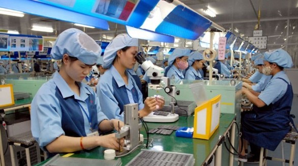 Sản phẩm tôm Việt Nam chiếm thị phần cao nhất tại Hàn Quốc