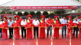 Xuất hành nhiều chuyến container vải thiều chính vụ của tỉnh Bắc Giang vào Hệ thống phân phối của Central Retail