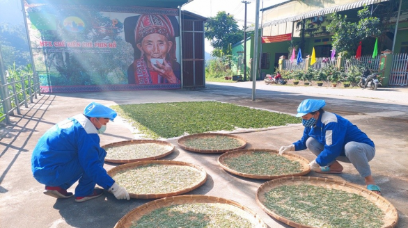 Chứng nhận OCOP “Giấy thông hành” cho nông sản Hà Giang