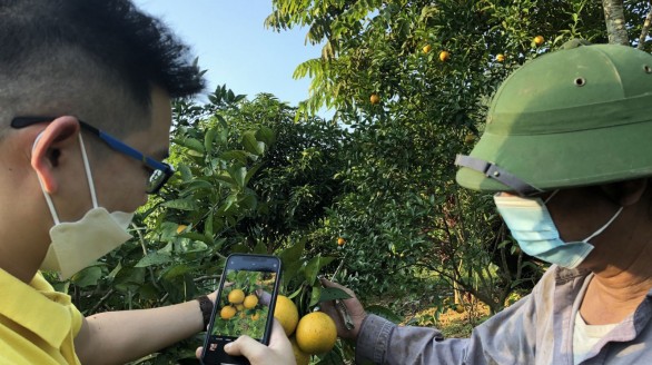 Rộng đường đưa nông sản Yên Bái lên sàn thương mại điện tử