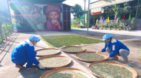 Chứng nhận OCOP “Giấy thông hành” cho nông sản Hà Giang