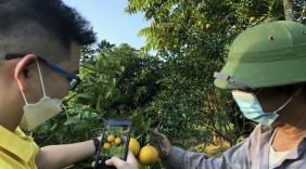 Rộng đường đưa nông sản Yên Bái lên sàn thương mại điện tử