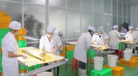 Đa dạng sản phẩm để nâng cao giá trị nông sản Đắk Nông