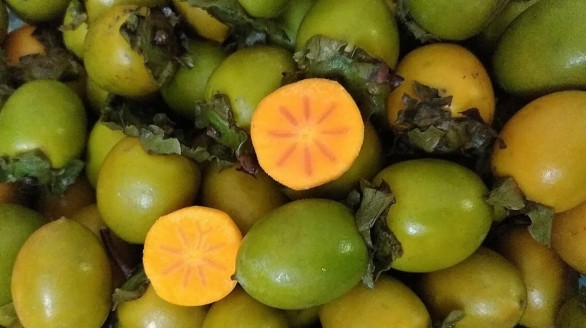 Hồng không hạt Bắc Kạn, hương vị ngọt ngon của núi rừng Đông Bắc