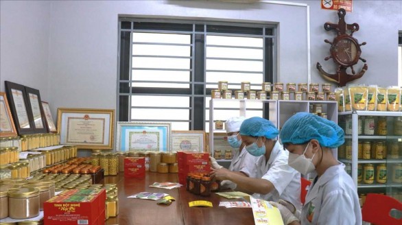 Bắc Kạn: Tìm đầu ra ổn định cho nông sản địa phương