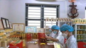 Bắc Kạn: Tìm đầu ra ổn định cho nông sản địa phương