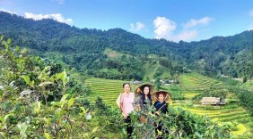 Tăng giá trị và rộng mở đầu ra cho chè shan tuyết Bắc Hà