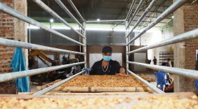 Xây dựng thương hiệu long nhãn Sơn La: Nâng cao giá trị sản phẩm địa phương