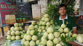 Những kết quả cụ thể về phát triển thương mại điện tử hướng đến tối ưu hóa tiếp thị sản phẩm khu vực miền núi