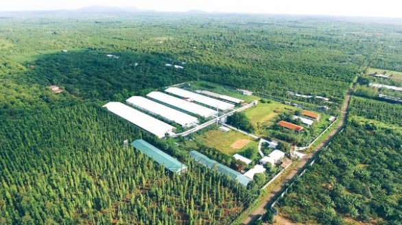 Phát triển kinh tế carbon thấp: Điều kiện 'cần' để hướng đến kinh tế tuần hoàn